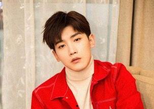 邢昭林 网红,从网红到演员，青春偶像的成长之路