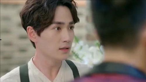 明星罗,星光璀璨的影视界新秀